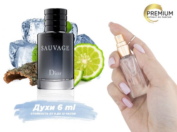 Perfume Dior Sauvage, 6 ml (100% similarity with fragrance)